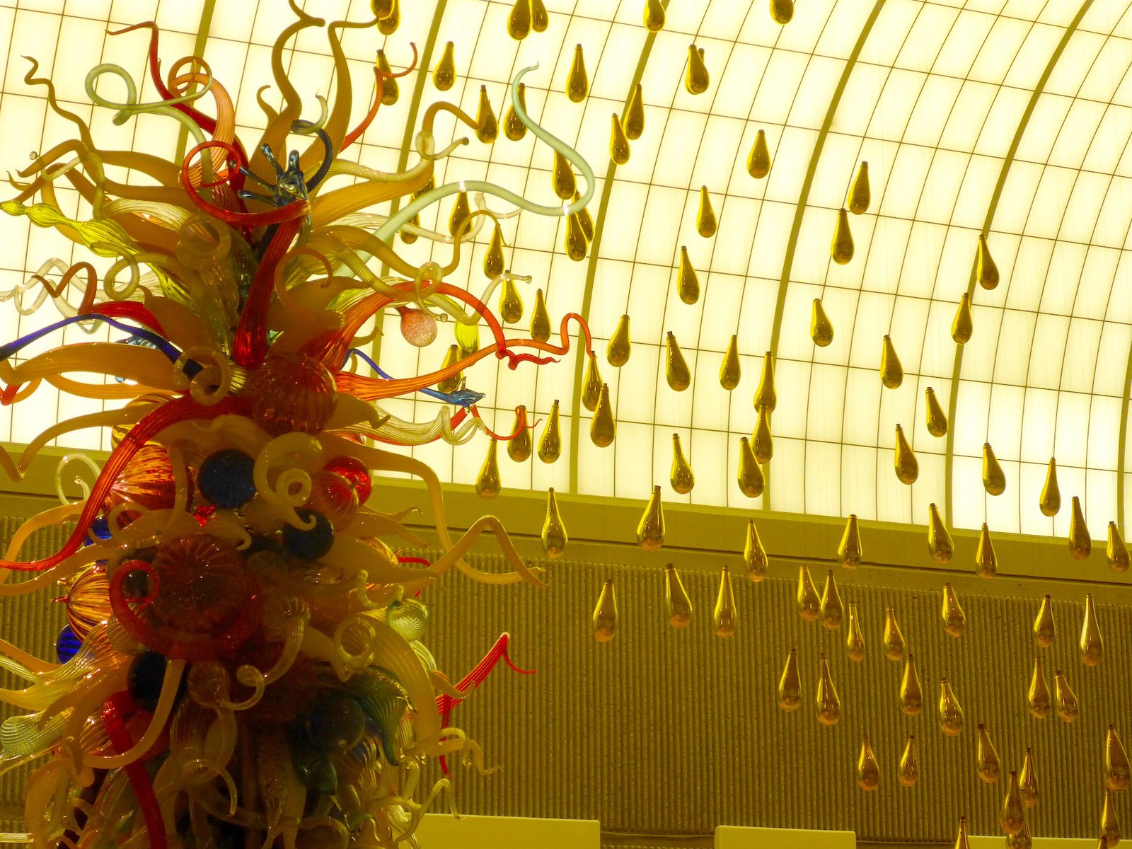 Palm Springs Art Museum 15